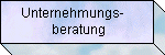 Unternehmensberatung